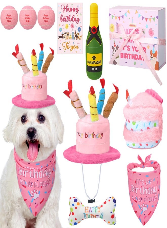 Vertintong 10 Pcs Dog Birthday Toy Set Dog Birthday Cake Bone Wine Bottle Hat Bib Ball Card Ribbon Plush Pet Gifts for Small Medium Puppy Squeaky Dogs Pet Toy Party Supplies(Pink) - Image 1